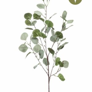 Eucalyptus-oksa 87 cm