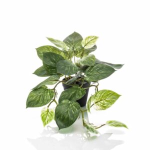 Hopeaköynnös vihreä/valkoinen 55cm