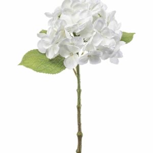 Hortensia-oksa valkoinen 47cm