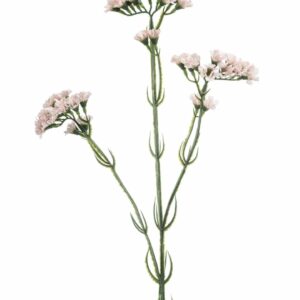 Ikiviuhko-oksa 62cm vaaleanpunainen