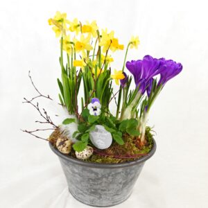 Viherlandiassa valmistettu Nuppulan istutus.