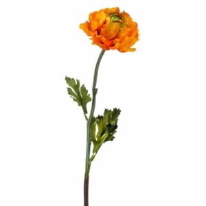 Leinikki-oksa 50cm oranssi