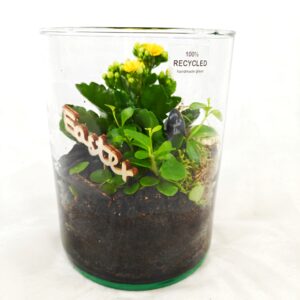 Viherlandiassa valmistettu Nuppulan istutus.