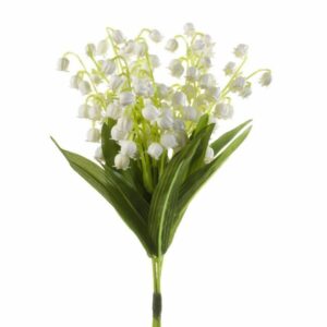 Kielokimppu valkoinen 25cm