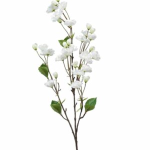 Kirsikan kukkaoksa 92cm, kerma