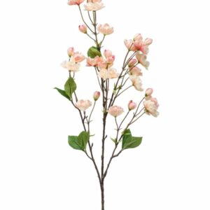 Kirsikan kukkaoksa 92cm, persikka