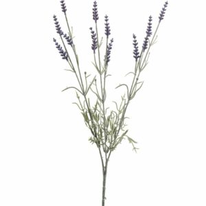 Laventeli-oksa 68cm purppura