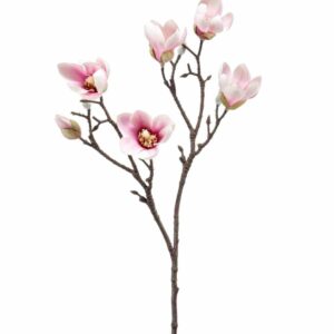 Magnoliaoksa 65cm vaalea pinkki