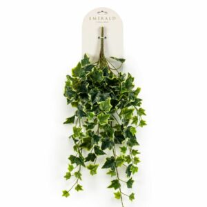 Murattiköynnös 70cm