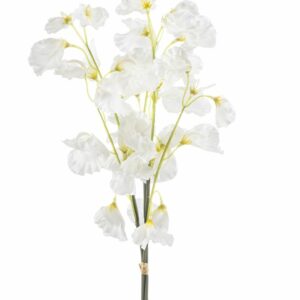 Tuoksuherne nippu 48cm valkoinen