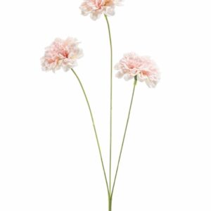 Neilikka-oksa 50cm persikka