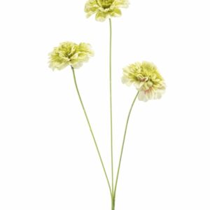 Neilikka-oksa 50cm vihreä