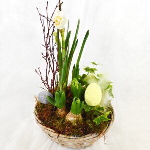 Viherlandiassa valmistettu Nuppulan istutus.