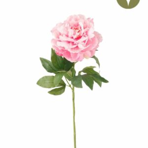 Pioni-oksa 65cm pinkki