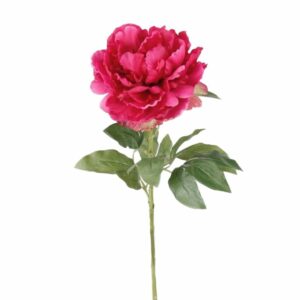 Pioni-oksa 65cm tumma pinkki