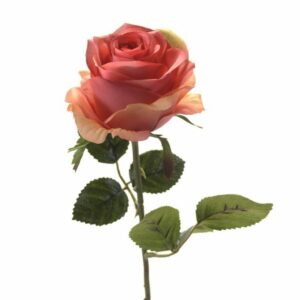 Ruusu 'Simone' 45cm pinkki