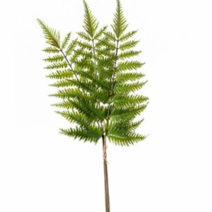 Saniaisoksa nippu 58cm vihreä