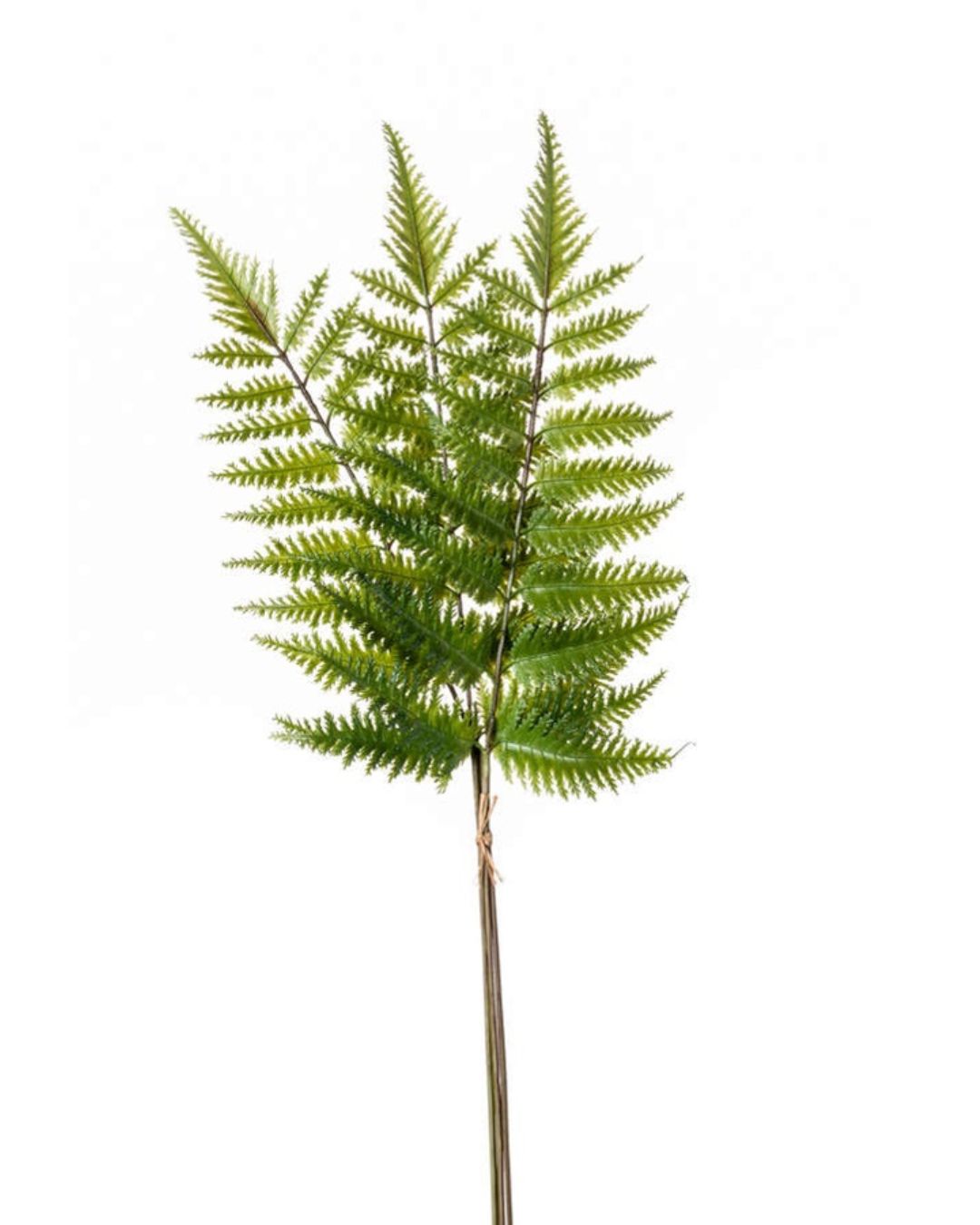 Saniaisoksa nippu 58cm vihreä