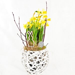 Viherlandiassa valmistettu Nuppulan istutus.