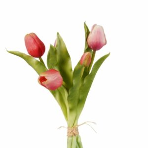 Tulppaani-nippu 30 cm pinkki