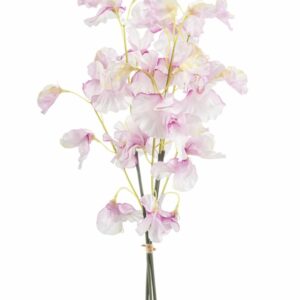 Tuoksuherne nippu 48cm vaalea pinkki