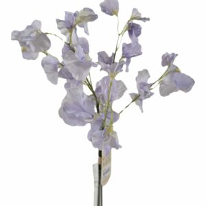 Tuoksuherne nippu 48cm vaalea purppura