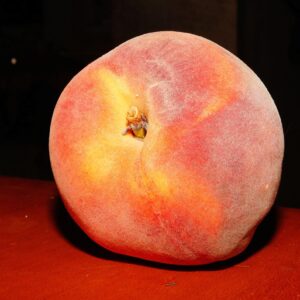 Persikka 'Frost'; I lk,At,Ul