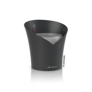 Orchidea saviliuske All-In-One Set