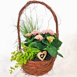 Viherlandiassa valmistettu Nuppulan istutus.