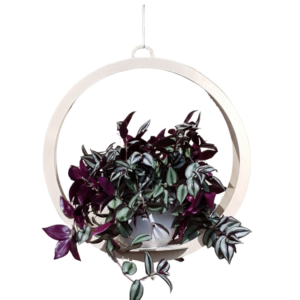 Taika Amppeli 49cm vaalea