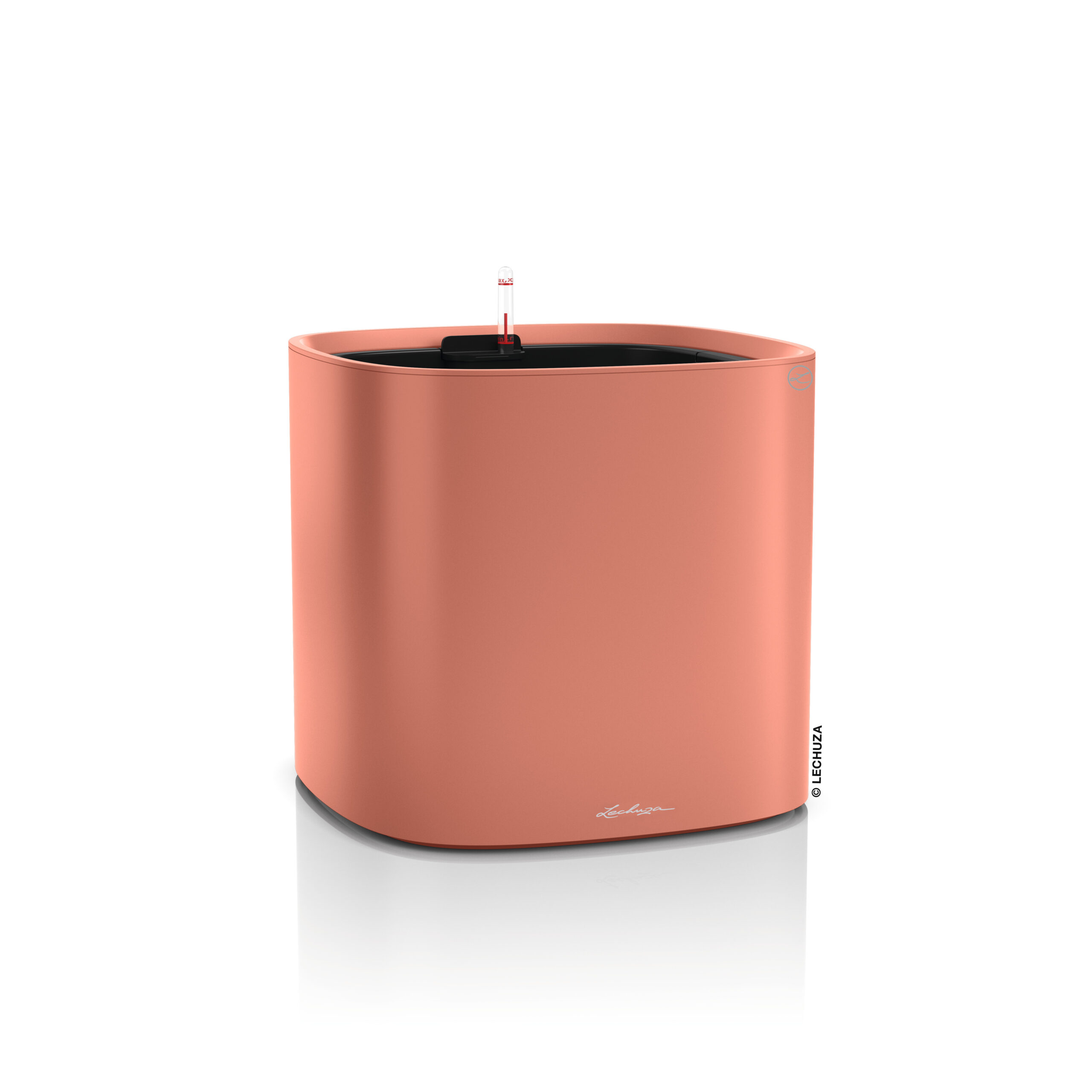 Pila Color Planter koralli All-In-One Set
