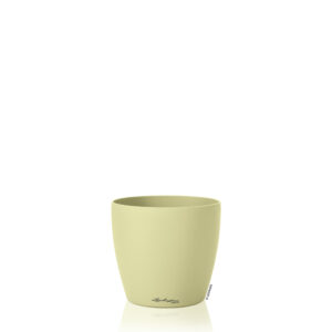 Classico Color Deco 12 matala lime