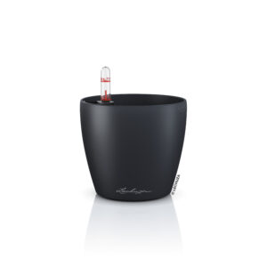 Classico Color 12 harmaa All-In-One Set