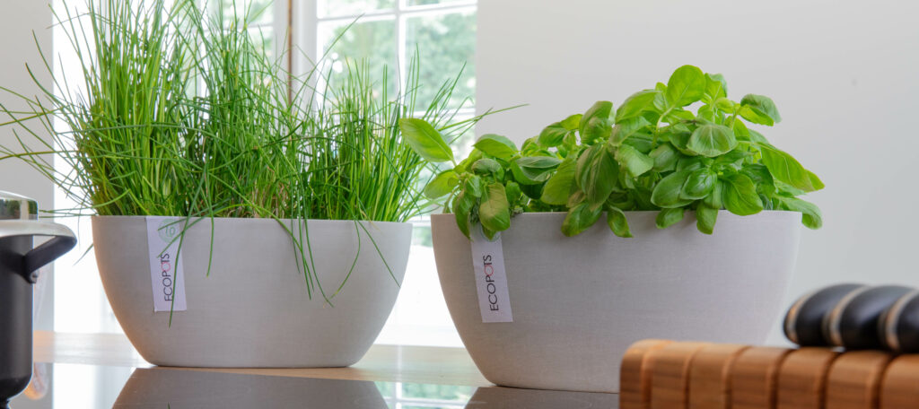 Ecopots ruukut