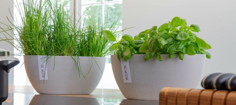 Ecopots ruukut