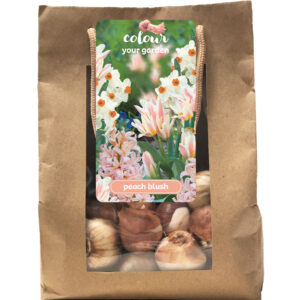 Colour Your Garden Peach Blush 25 kpl