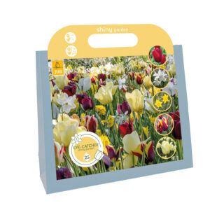 Eye-Catchers-Shiny Garden lahjapakkaus 25 kpl