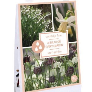 Every Garden-Wet Garden lahjapakkaus 30 kpl