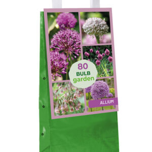 Bulb Garden Allium 80 kpl