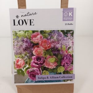 Bouquet Tulppaani& Allium 25 kpl