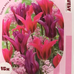 Perfect Combinations Tulppaani Doll Blend 15 kpl