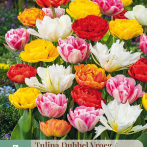 Tulppaani Double Early Mix 7kpl