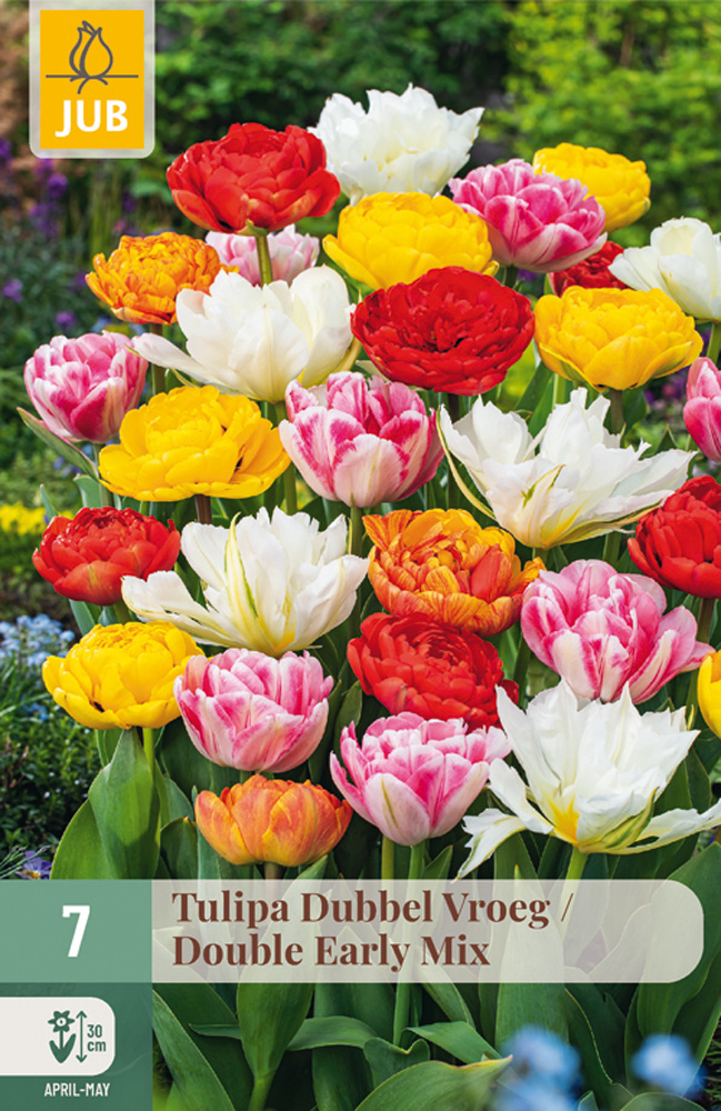 Tulppaani Double Early Mix 7kpl