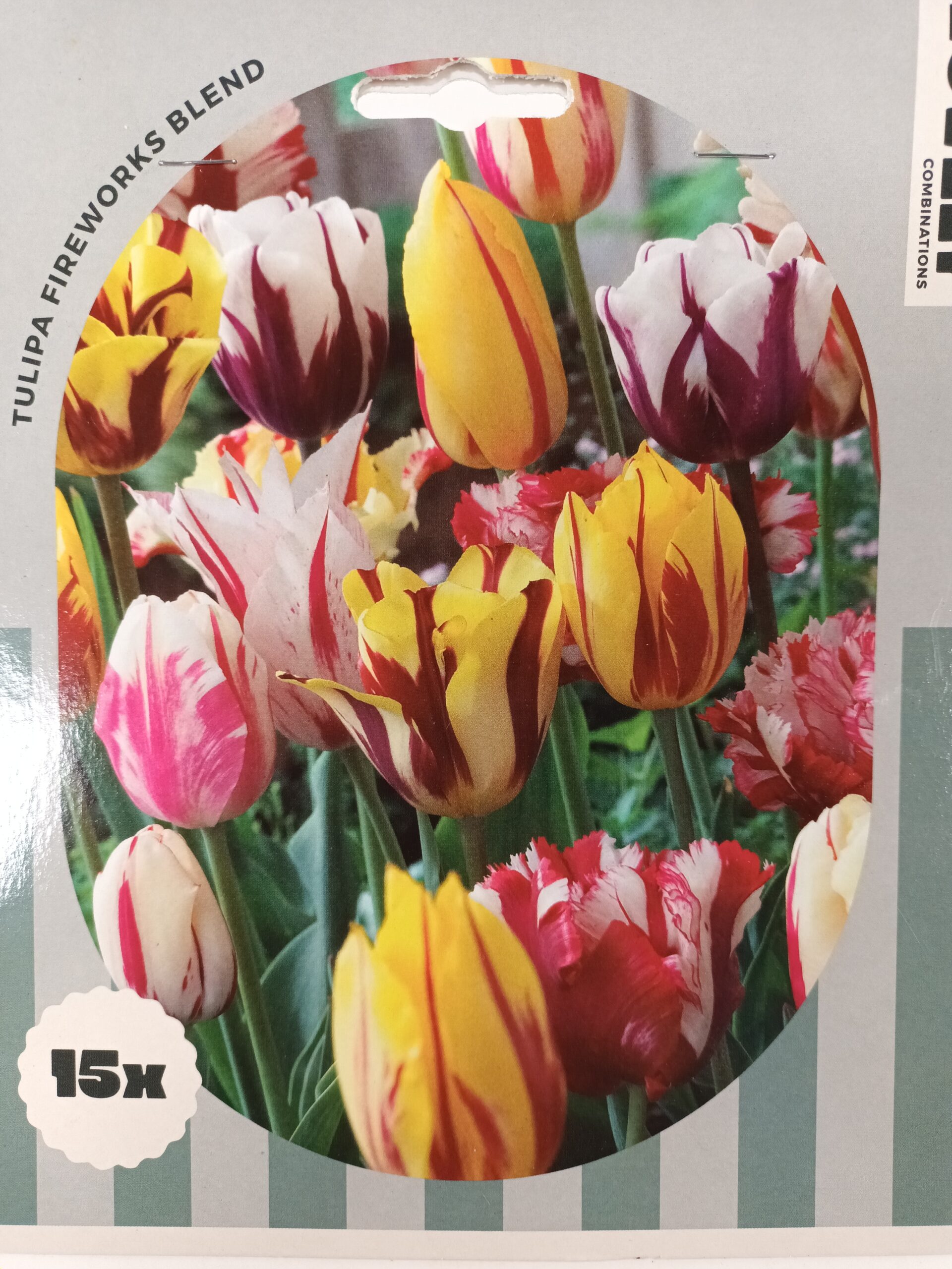 Combi Tulppaani Fireworks 15 kpl