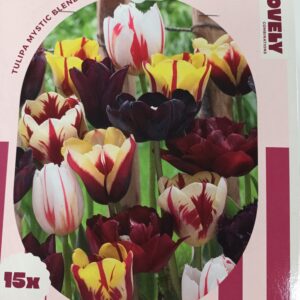 Combi Tulppaani Mystic Blend 15 kpl