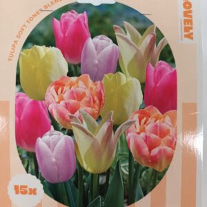 Combi Tulppaani Soft Stones 15 kpl