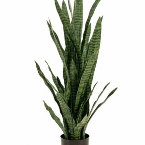 Anopinkieli 115cm vihreä