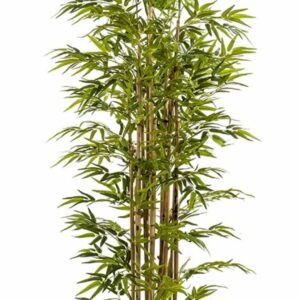 Bambu deluxe 175cm