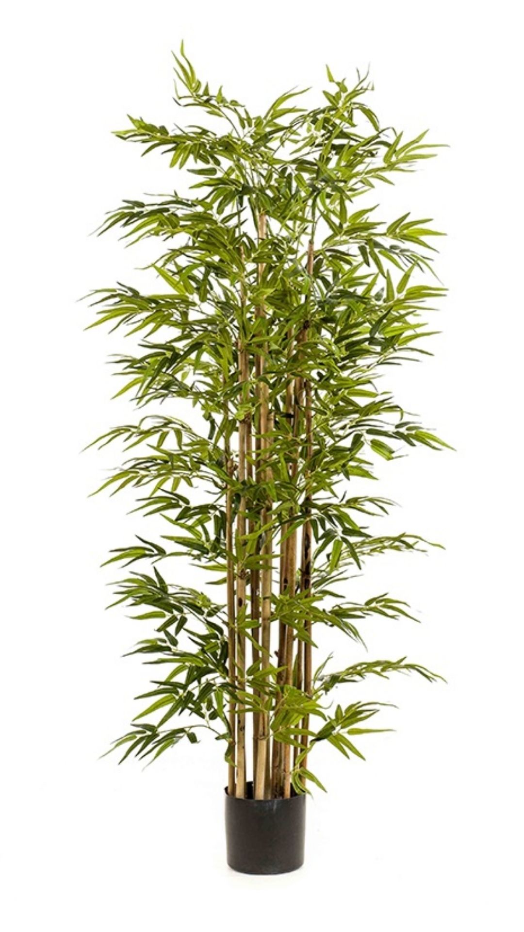Bambu deluxe 175cm