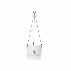 Greenville amppeli 24cm valkoinen